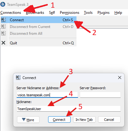 explanation of connection to TeamSpeak 3 server